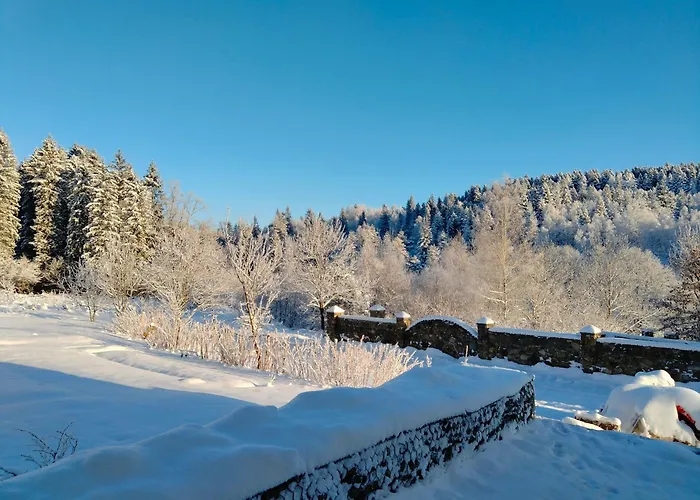 Рудий Лис Східниця